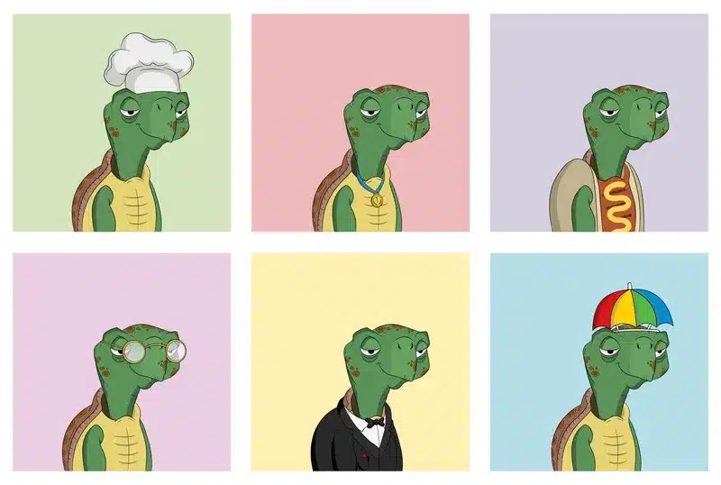 Collection of cartoon turtle in various poses and expressions